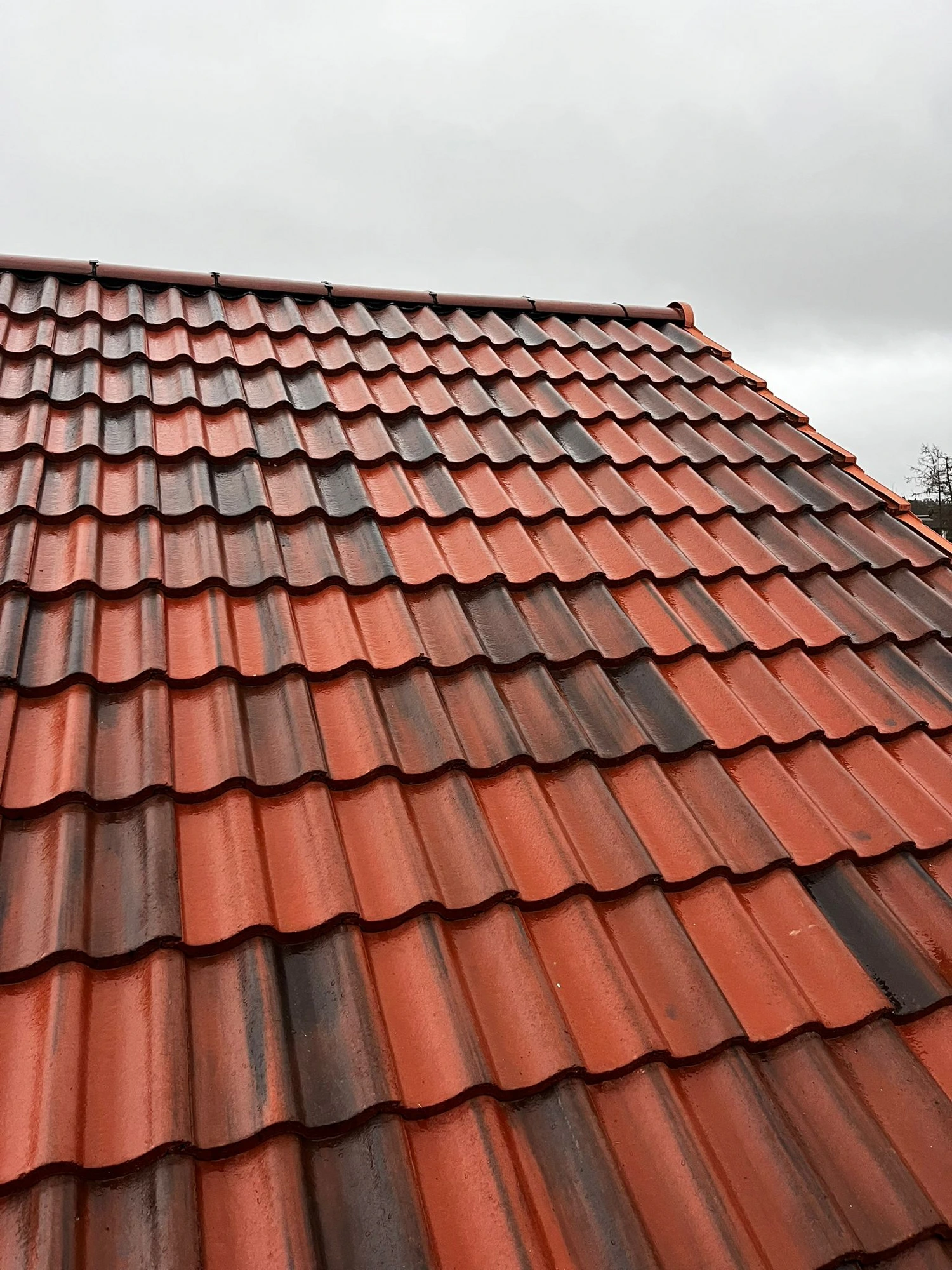Roof Replacement